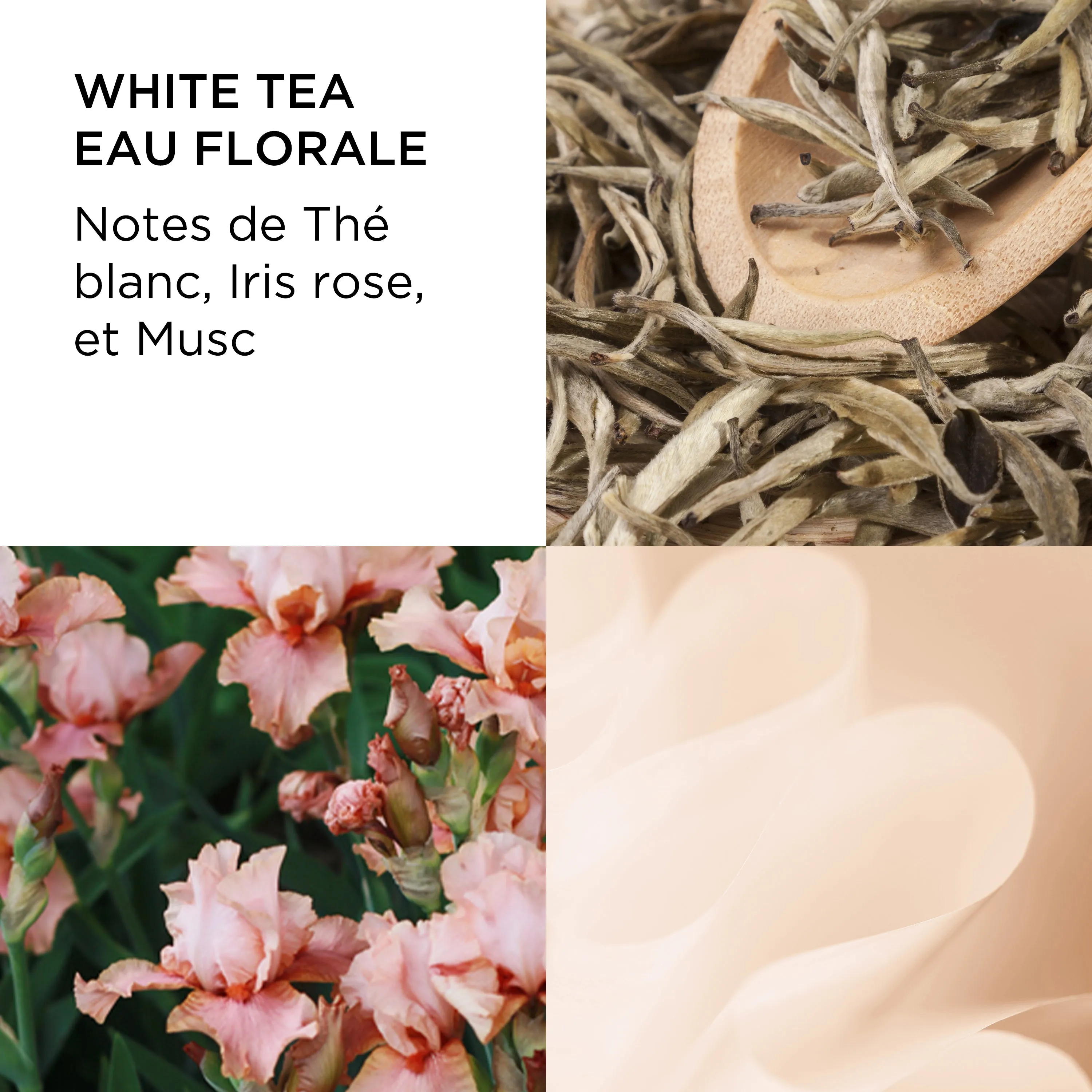 Coffret White Tea Eau Florale Eau de toilette 100ml, Spray Vaporisateur, Crème Corps