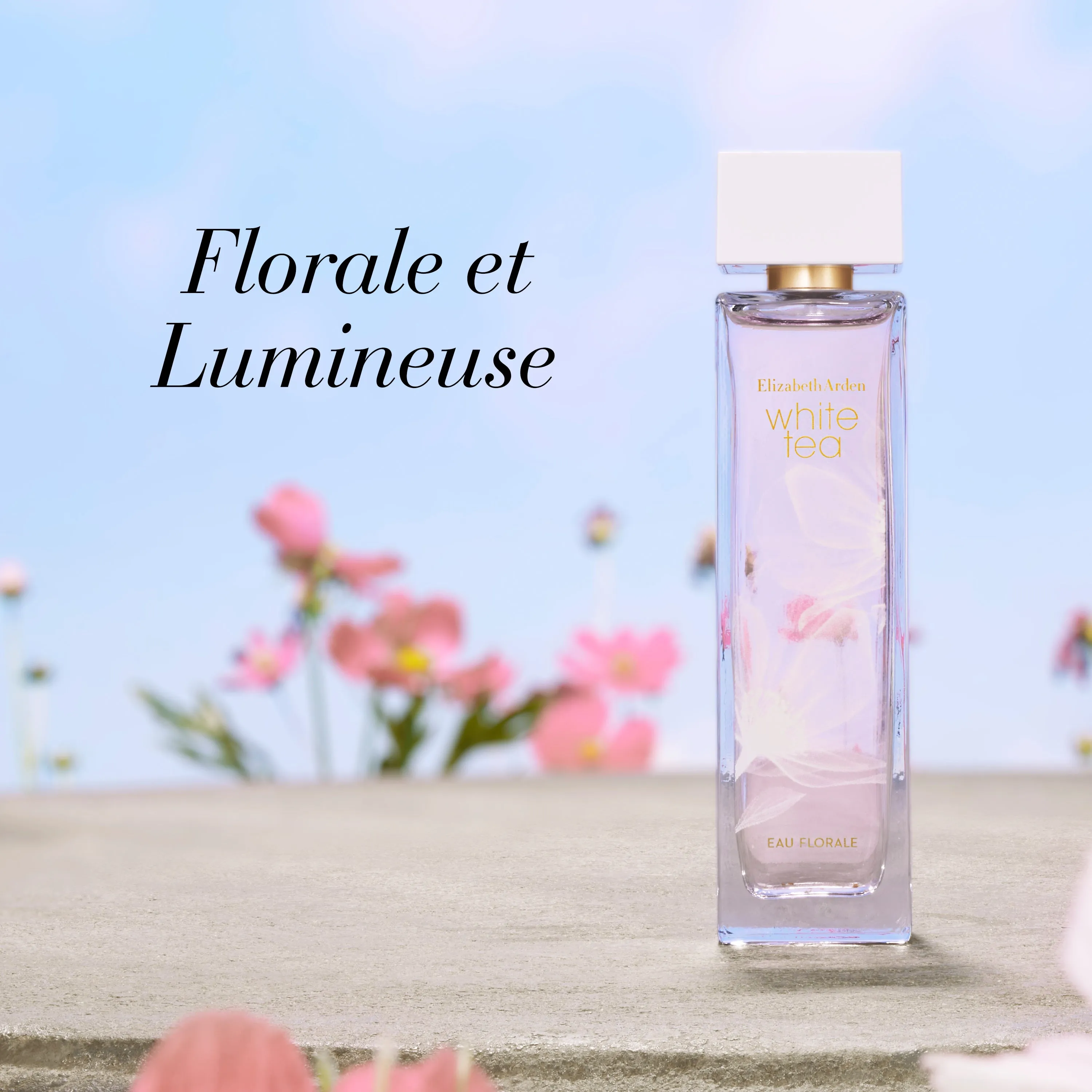 Coffret White Tea Eau Florale Eau de toilette 100ml, Spray Vaporisateur, Crème Corps