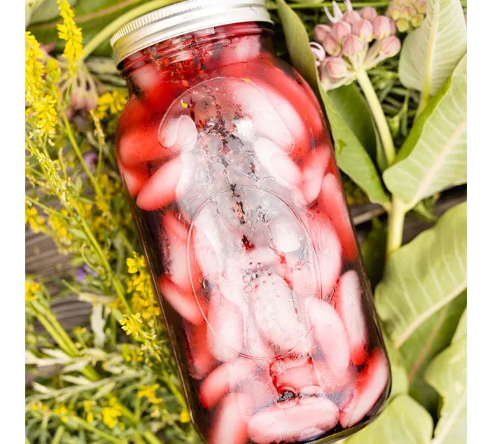 Hibiscus Cucumber, Organic Iced Tea Pouches